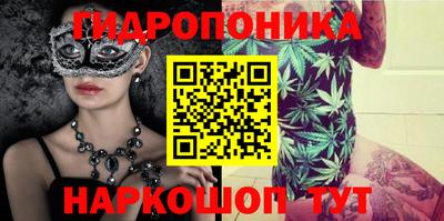гашик Бузулук