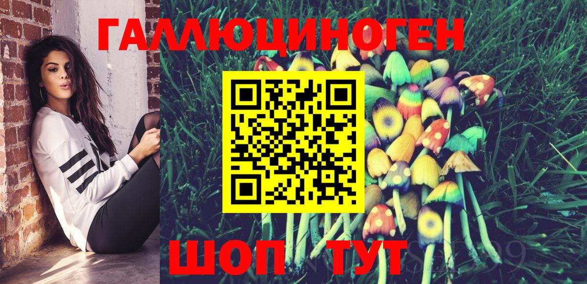 продажа наркотиков  Псилоцибиновые грибы Magic Shrooms  Вход с VPN  Тимашёвск 